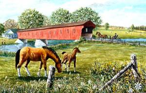 This covered bridge was build by one of my ancestors back in the 1800's. Located near St. Jacobs, Ontario