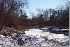 schneiders creek 001