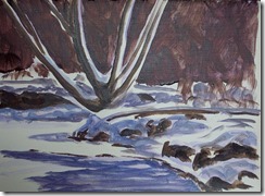 schneiders creek 010